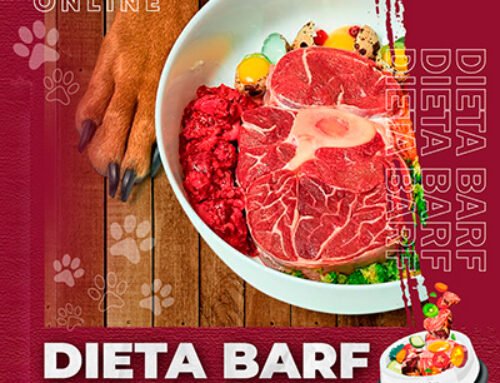 DIETA BARF PARA MASCOTAS